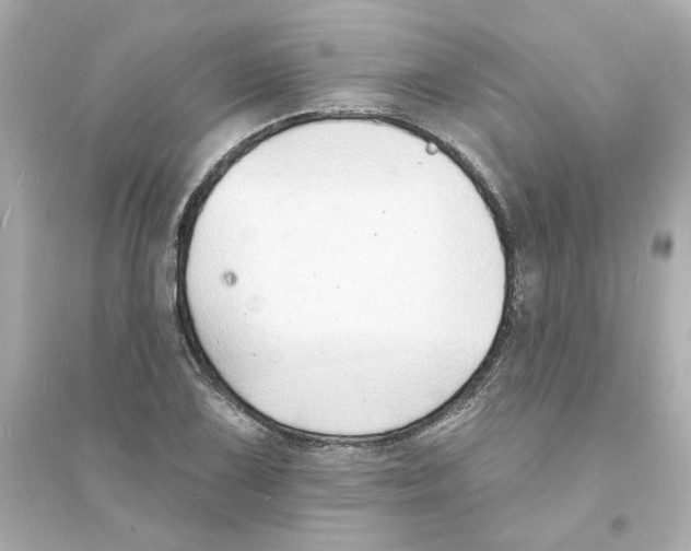 X0000093601075200711121143