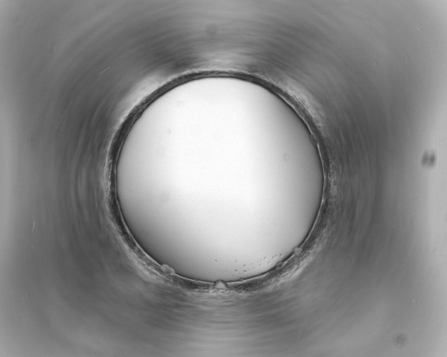 X0000093601077200711121143