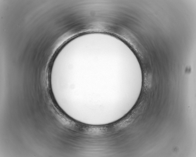 X0000093601078200711121143