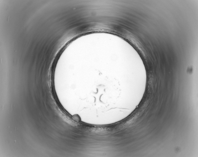 X0000093601082200711121143