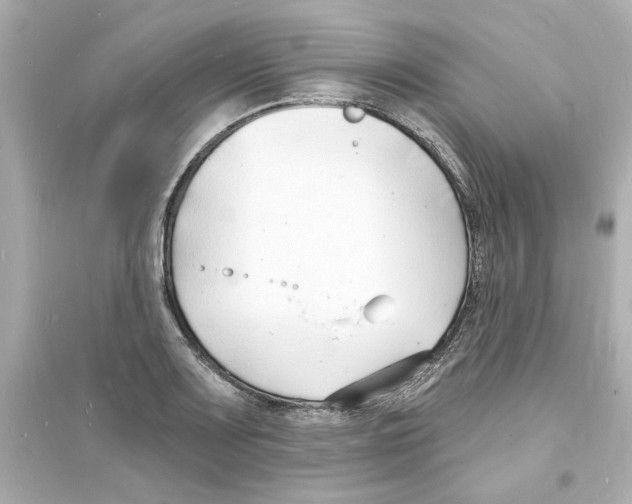 X0000093601083200711121143