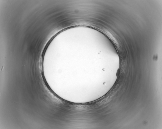 X0000093601084200711121143