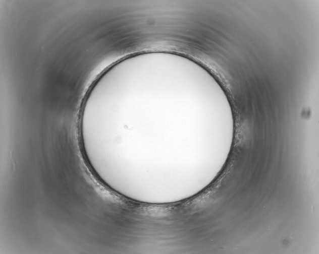 X0000093601086200711121143