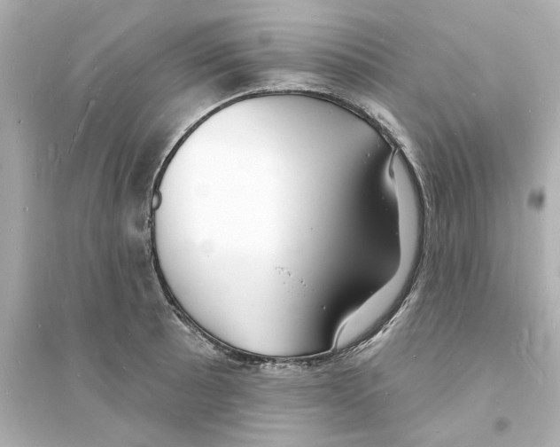 X0000093601089200711121143