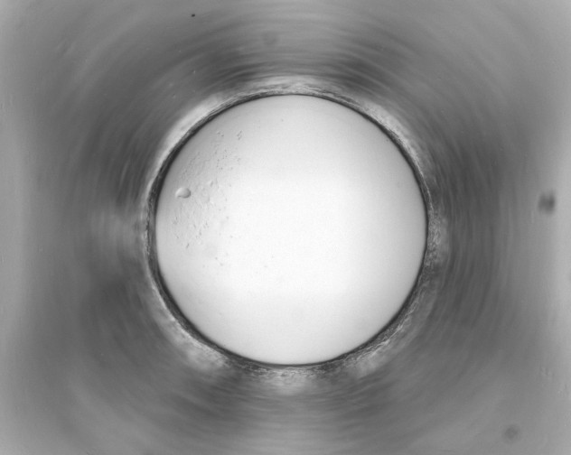 X0000093601090200711121143