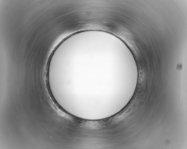 X0000093601094200711121143