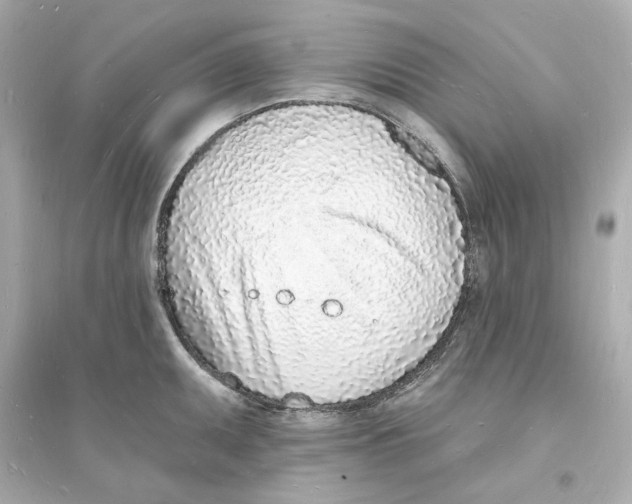 X0000093601095200711121143