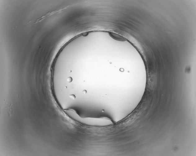 X0000093601096200711121143