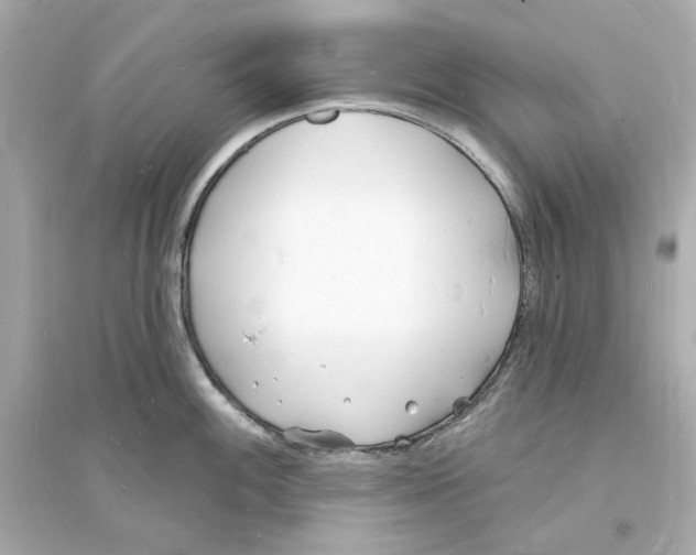 X0000093601100200711121143