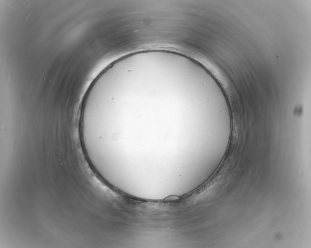 X0000093601102200711121143