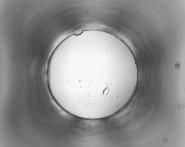 X0000093601103200711121143