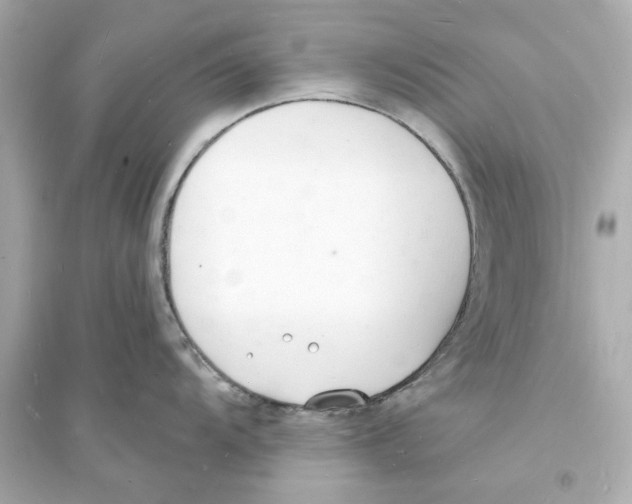 X0000093601104200711121143