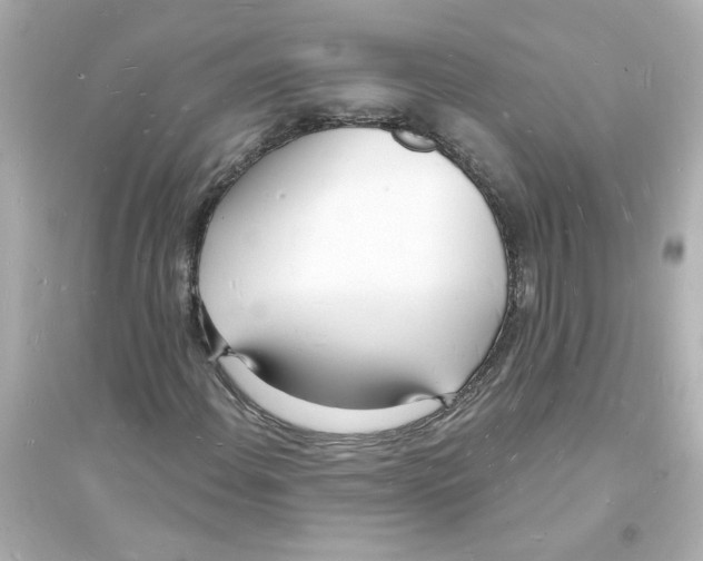 X0000093601108200711121142