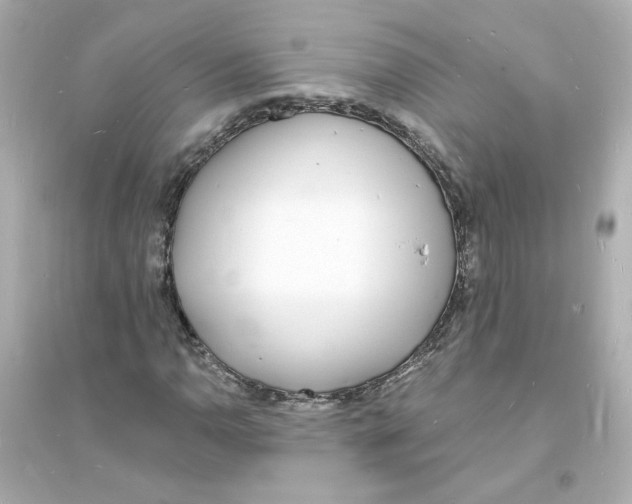 X0000093601110200711121142