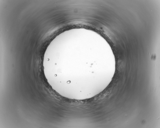 X0000093601111200711121142