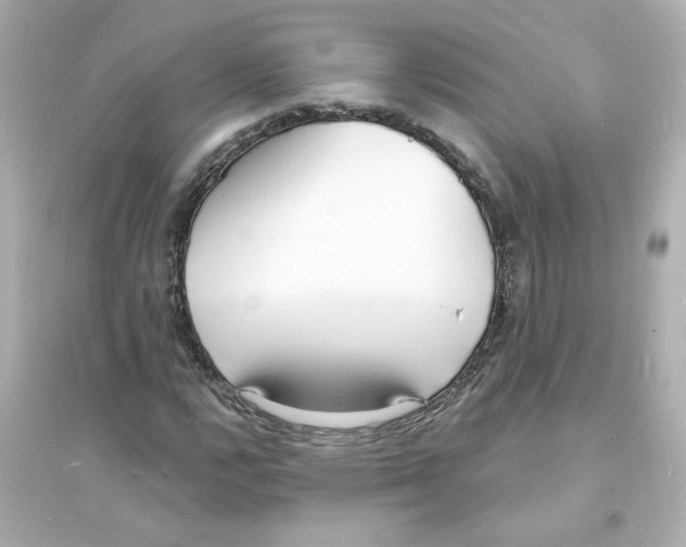 X0000093601112200711121142