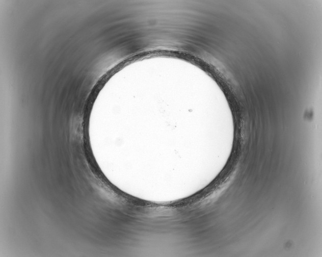 X0000093601113200711121142