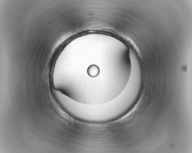 X0000093601114200711121142