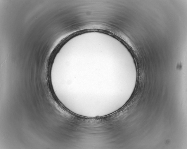 X0000093601116200711121142