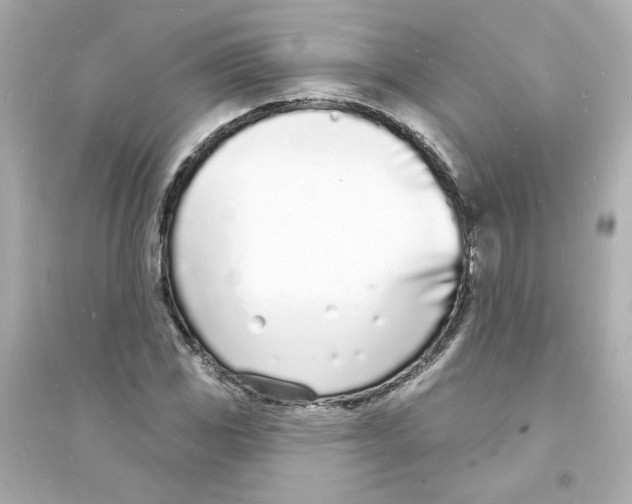 X0000093601117200711121142