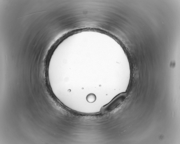 X0000093601118200711121142