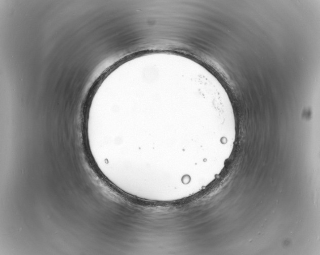 X0000093601122200711121142