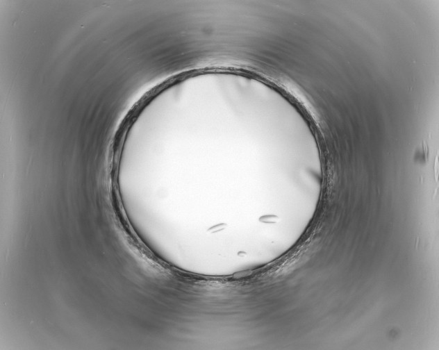 X0000093601124200711121142