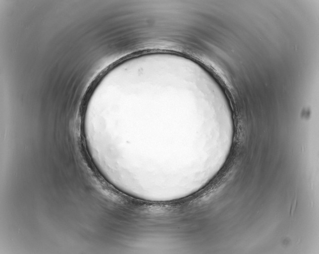 X0000093601125200711121142