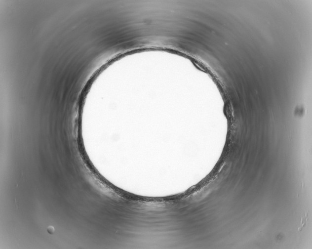 X0000093601126200711121142