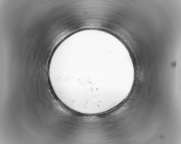 X0000093601129200711121142