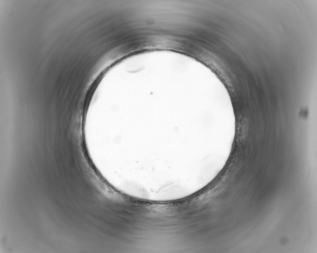 X0000093601130200711121142