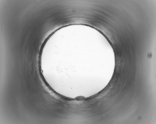 X0000093601134200711121142