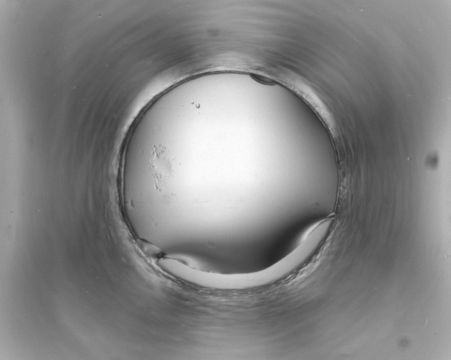 X0000093601146200711121143