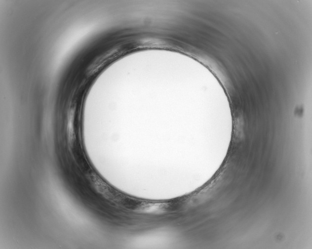 X0000093601150200711121143