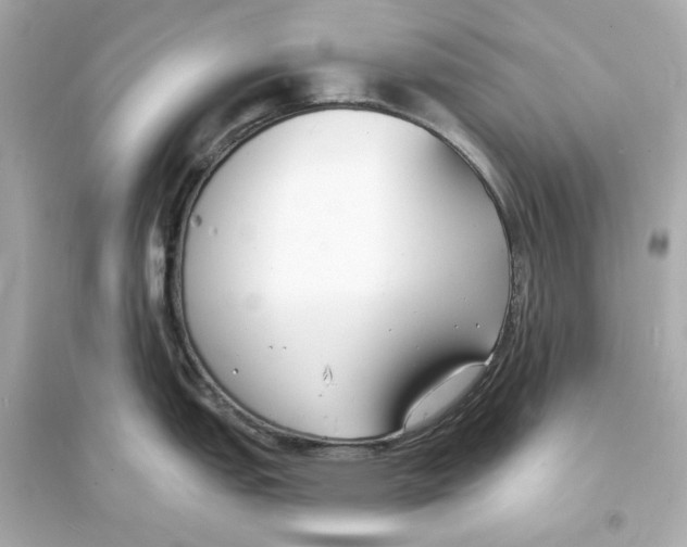 X0000093601151200711121143