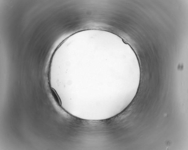 X0000093601152200711121143