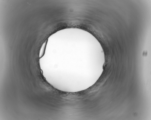 X0000093601153200711121142