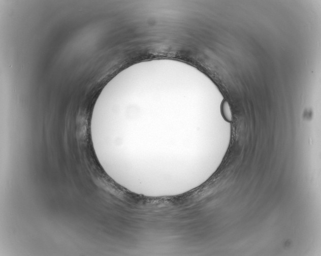 X0000093601154200711121142