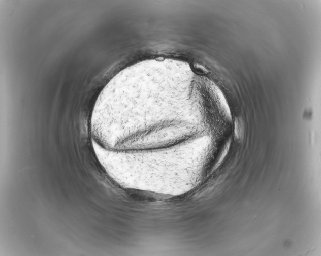 X0000093601155200711121142