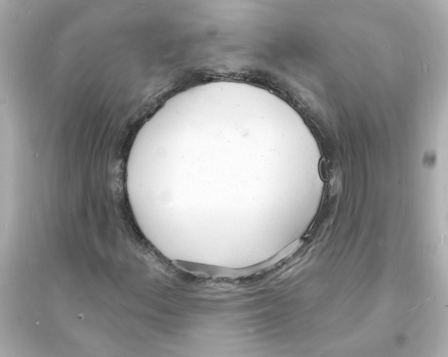 X0000093601156200711121142