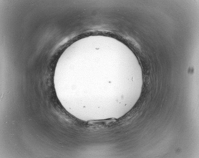 X0000093601159200711121142