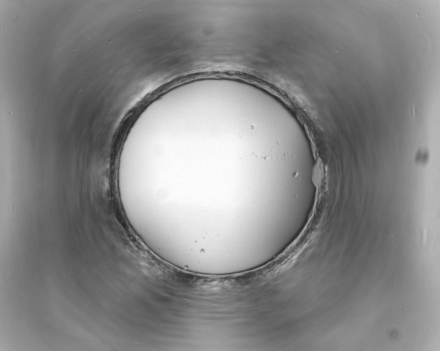 X0000093601165200711121142