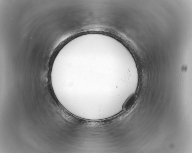 X0000093601166200711121142