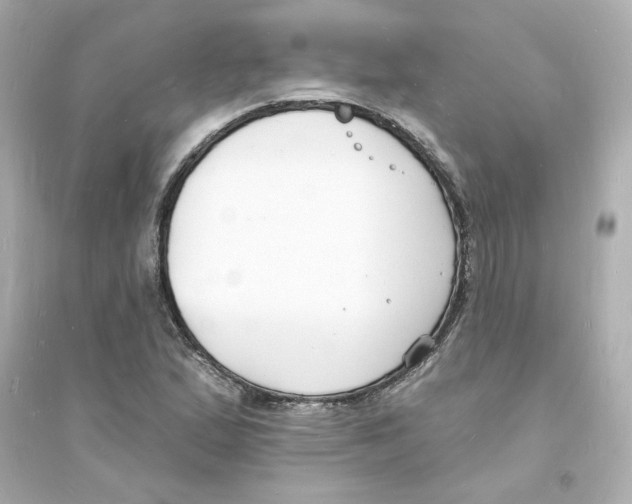 X0000093601167200711121142