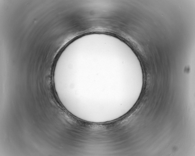 X0000093601170200711121142