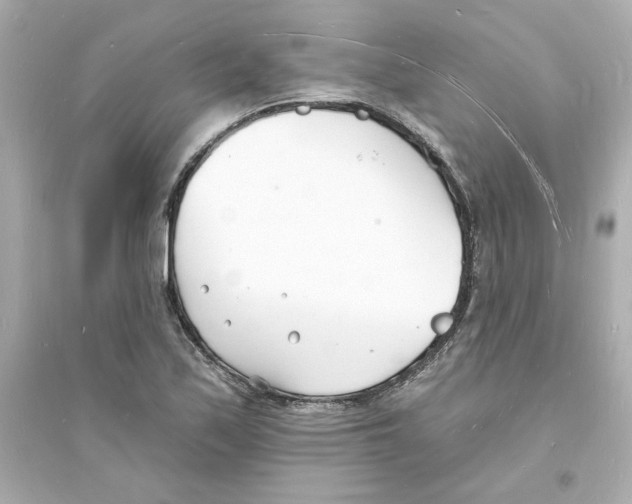 X0000093601171200711121142