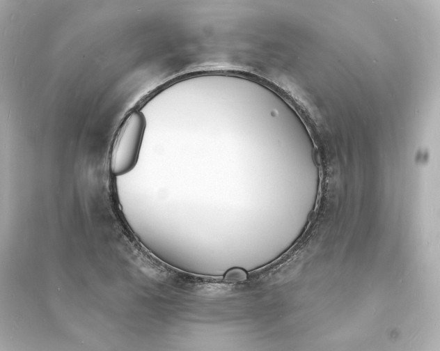 X0000093601173200711121142