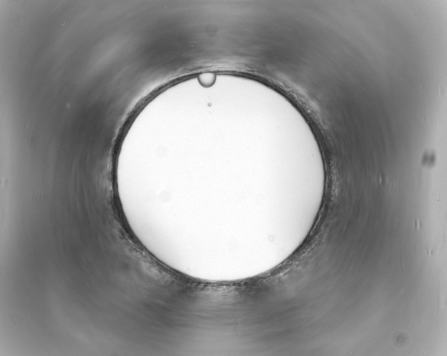 X0000093601174200711121142