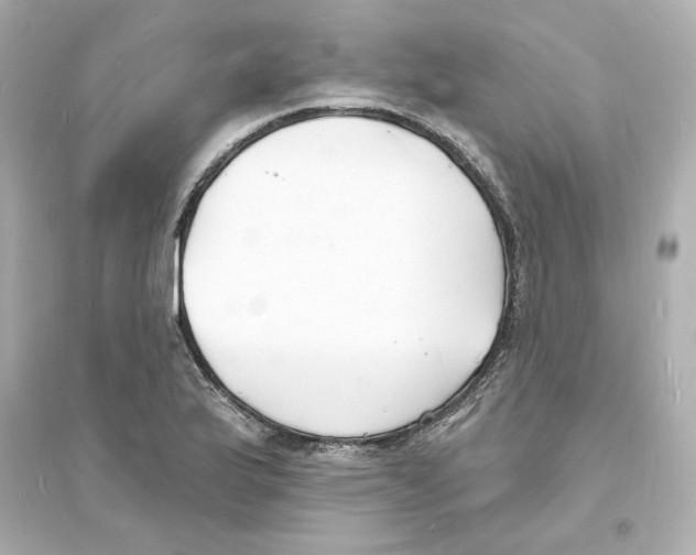 X0000093601175200711121142