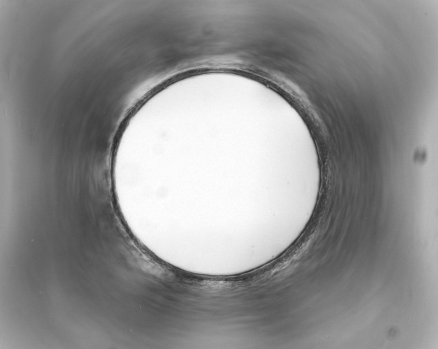 X0000093601176200711121142